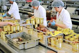 Điểm thi đại học khối A00 hoặc B00 chỉ từ 16 điểm, có thể điền nguyện vọng ngành học sau ra trường lương tới 3000 USD/tháng