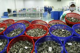 Trung Quốc chi đậm mua loài ‘thuỷ sản tỷ USD’, nỗi lo từ thị trường Mỹ