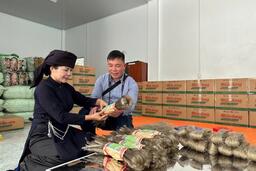 HTX OCOP tìm "chìa khóa" mở cửa thị trường quốc tế
