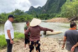 Kiểm tra toàn diện hoạt động khai thác cát sỏi trên sông Rong