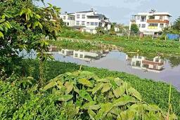 Tìm phương án khắc phục cây cầu dân sinh bị mưa lũ cuốn trôi ở rạch Ông Bố, TPHCM