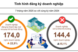 7 tháng đầu năm, có gần 110 nghìn doanh nghiệp thành lập mới