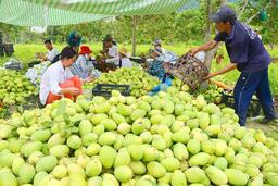 Quỹ tín dụng nhân dân Khu vực 13: Hoạt động thông suốt sau sáp nhập đơn vị hành chính