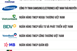 Nhiều ông lớn tiếp tục góp mặt trong TOP 500 Doanh nghiệp lợi nhuận tốt nhất Việt Nam năm 2025