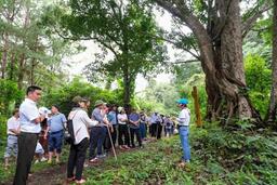 Gia Lai định hướng phát triển du lịch sinh thái và nghỉ dưỡng