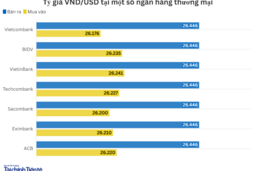 Ngày 30/9: Tỷ giá trung tâm giảm 5 đồng