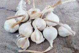 Thực phẩm giàu chất chống oxy hóa giúp kiểm soát đường huyết