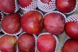 Ăn một quả táo trước khi ngủ, thói quen nhỏ, lợi ích lớn cho giấc ngủ và tiêu hóa