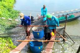 Ngân hàng Khu vực 13: Thúc đẩy cho vay lĩnh vực kinh tế tập thể