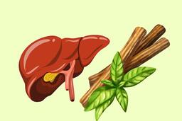 Loại rễ cây quen thuộc giúp thải độc gan mạnh mẽ