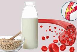 Thức uống hỗ trợ giảm mỡ máu và cholesterol hiệu quả