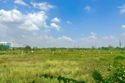 Đề nghị rà soát quy định thu hồi và giá đất trong Dự thảo Nghị quyết gỡ vướng thi hành Luật Đất đai