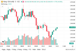 Ngày 30/10: Giá vàng lại giảm mạnh