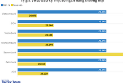 Ngày 30/10: Tỷ giá trung tâm ổn định