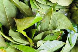 7 loại đồ uống giúp cân bằng pH và tăng cường sức khỏe vùng kín