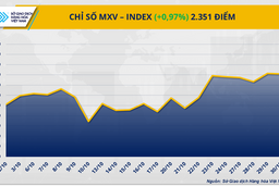 Giá dầu tăng bất chấp OPEC+ quyết định tăng sản lượng
