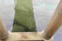 Xuất hiện vết dầu loang bất thường trên sông Bằng Giang, Cao Bằng