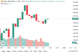 Ngày 6/11: Giá vàng trong nước tăng