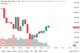 Ngày 7/11: Giá vàng trong nước đứng im, vàng thế giới tăng