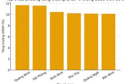 Việt Nam cách mục tiêu tăng trưởng 2025 bao xa?