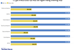 Ngày 20/11: Tỷ giá trung tâm giảm 2 đồng
