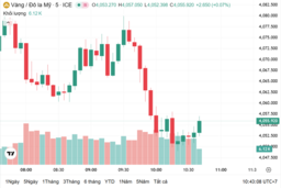 Ngày 21/11: Giá vàng trong nước đi ngang