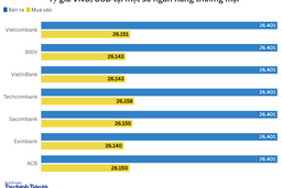 Ngày 24/11: Tỷ giá trung tâm tăng 8 đồng