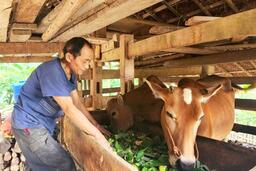 Phấn đấu 100% xã nghèo trên cả nước thoát khỏi tình trạng nghèo