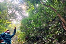 Quảng Trị tăng cường xử lý tình trạng chồng lấn, lấn chiếm rừng và đất lâm nghiệp