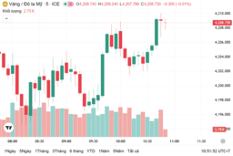 Ngày 5/12: Giá vàng trong nước tăng 400.000 đồng/lượng