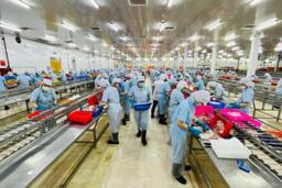 Công nghiệp An Giang duy trì đà tăng trưởng, tiếp tục là động lực kinh tế chủ lực