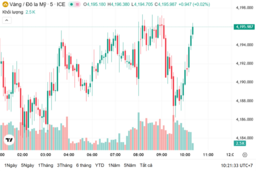 Ngày 9/12: Giá vàng trong nước giảm 300.000 đồng/lượng