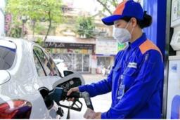 Giá xăng dầu dự báo sẽ giảm trong ngày mai (11/12)