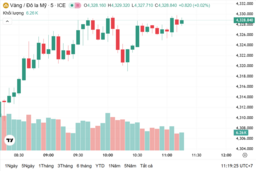 Ngày 15/12: Giá vàng trong nước tăng 500.000 đồng/lượng