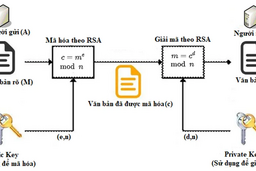 Từ RSA đến ECDSA: Bước chuyển tất yếu để bảo vệ an toàn hệ thống giao dịch điện tử