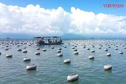 Khoa học – công nghệ nâng tầm vai trò HTX trong phát triển nuôi biển Quảng Ninh