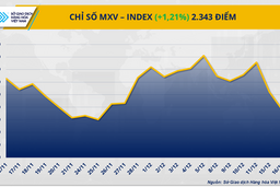 Kỳ vọng FED tiếp tục nới lỏng chính sách tiền tệ trong năm 2026, giá bạc tăng nóng
