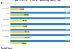Ngày 19/12: Tỷ giá trung tâm giảm 3 đồng