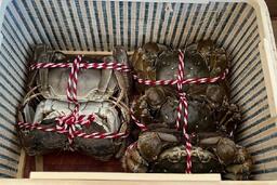 Cua lông Trung Quốc giảm giá sâu, bán tràn chợ Việt: Người nuôi trong nước nói gì?