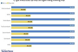 Ngày 23/12: Tỷ giá trung tâm giảm 3 đồng