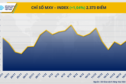 Theo sau bạc, giá bạch kim tăng liên tiếp 8 phiên