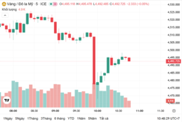 Ngày 24/12: Giá vàng trong nước tiếp tục tăng
