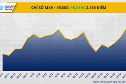 Rủi ro chính sách thương mại gia tăng, giá đồng tăng mạnh
