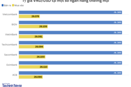 Ngày 25/12: Tỷ giá trung tâm giảm 13 đồng