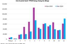 Thị trường trái phiếu doanh nghiệp 2025 qua 6 biểu đồ