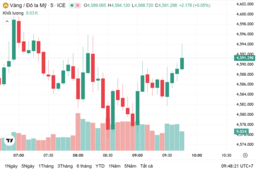 Ngày 13/1: Giá vàng trong nước đi ngang, thế giới lập đỉnh mới