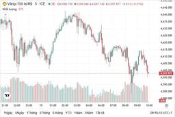 Ngày 15/1: Giá vàng trong nước và thế giới quay đầu giảm