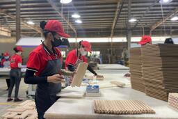 Thi đua sản xuất chào mừng Đại hội Đảng