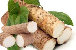 Giải độc gan với củ hoài sơn