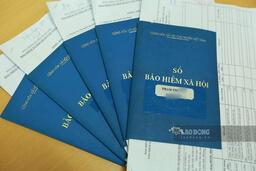 Bảo hiểm xã hội Việt Nam kiểm tra, rà soát toàn bộ các văn bản năm 2026